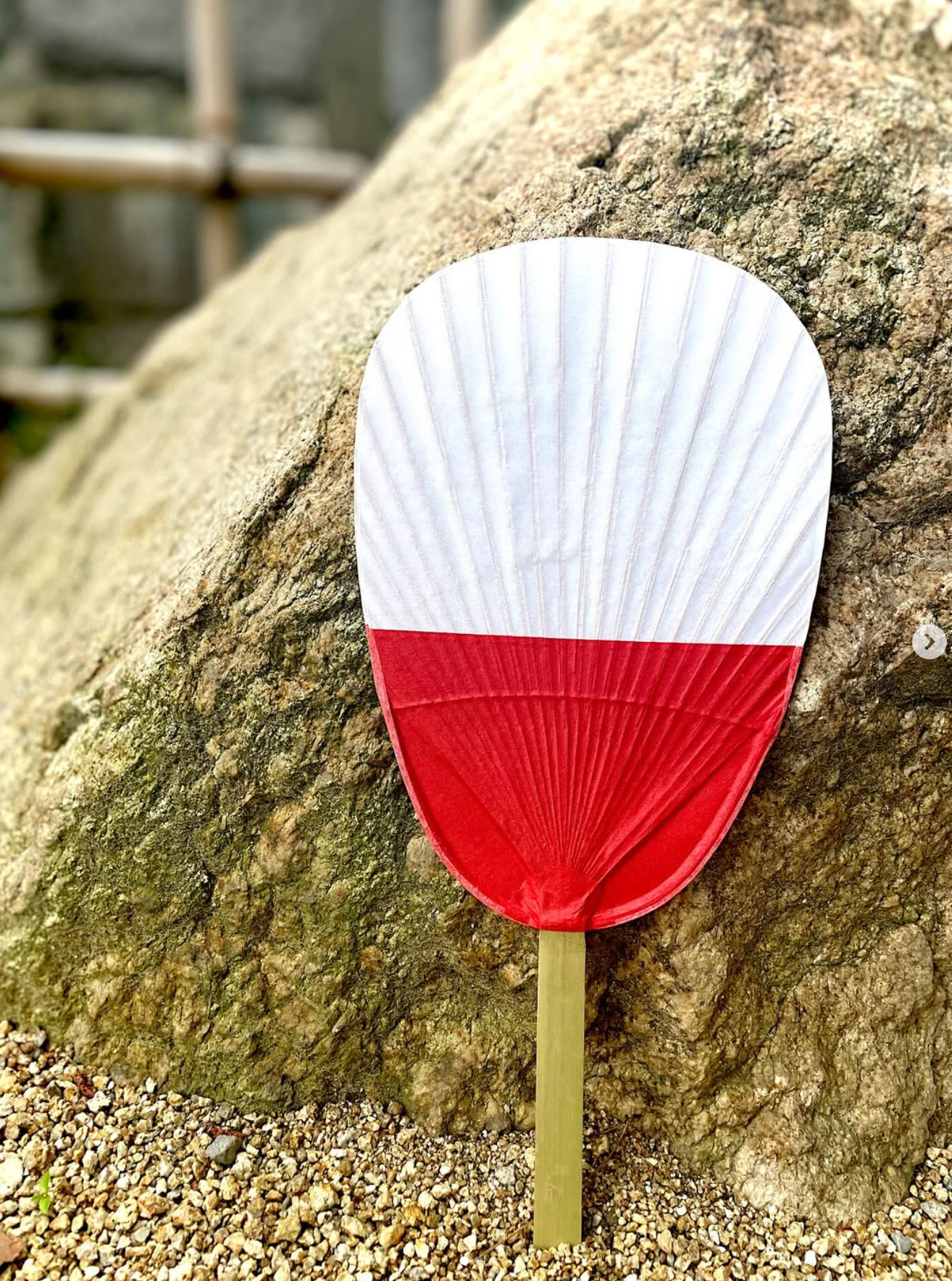 Duo Color Marugame Uchiwa (Japanese Paper Fan)